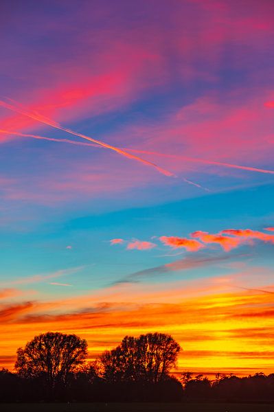 Coucher de soleil coloré sur les arbres en automne par Sjoerd van der Wal Photographie