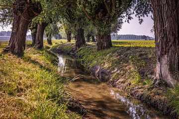 Das alte Kanjelbeek in Itteren von Rob Boon