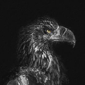 Eagle with dark background as digital painting by Digitale Schilderijen