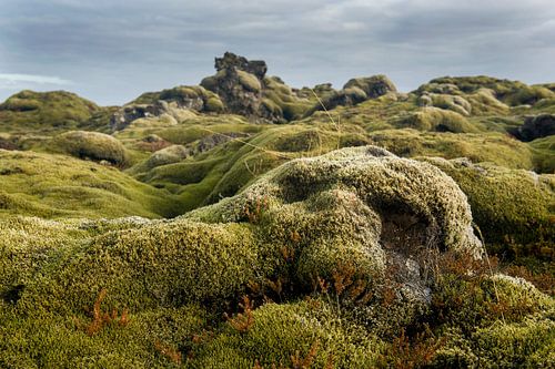 Trollenveld in Ijsland