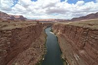 Colorado-Fluss, Arizona