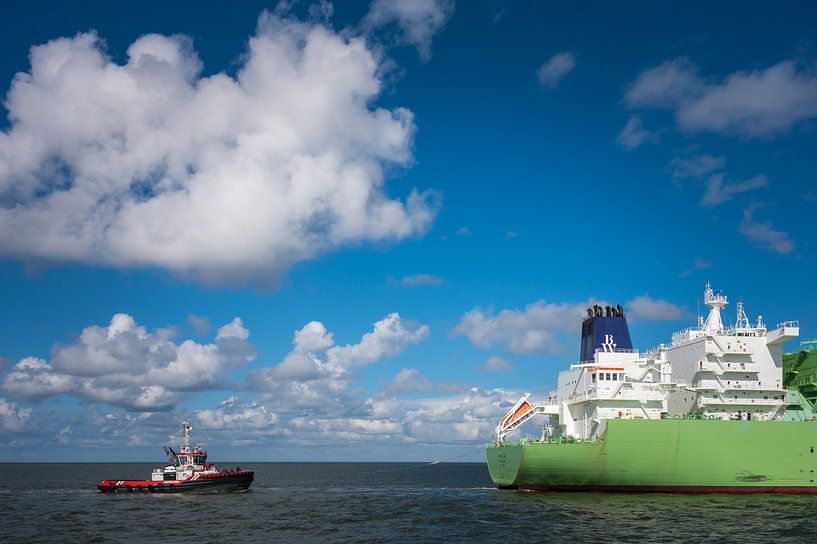 BW Lilac and Waterlines by Jan Georg Meijer