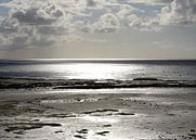 Terschelling wad von jan kamps Miniaturansicht