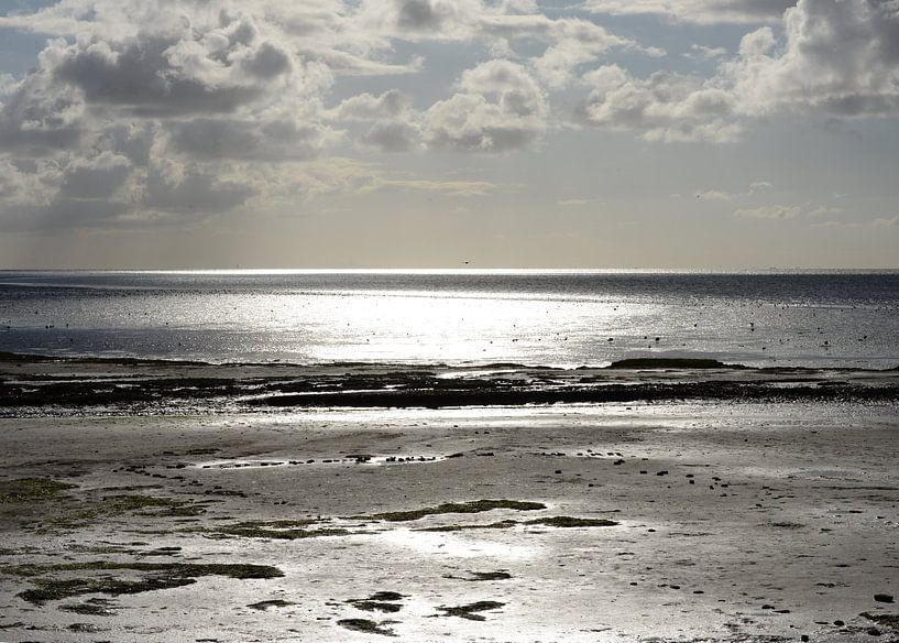 Terschelling wad van jan kamps