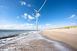 Rotterdam beach in summer.