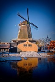 Eisiger Ster von Jan van der Knaap