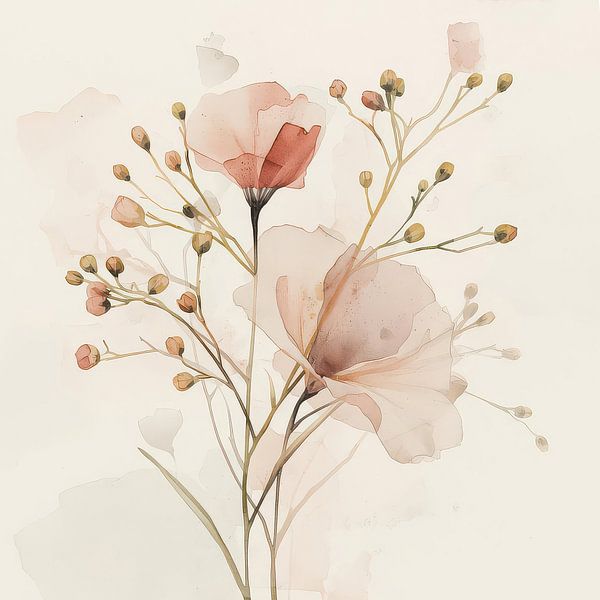 Delicate beauty by Kay Weber