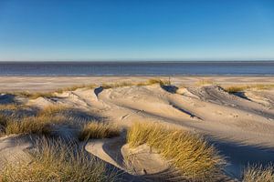 Duinen, Strand en Zee in de winter van Bram van Broekhoven