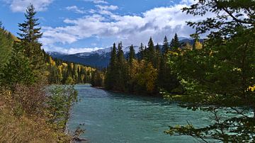 Fraser rivier in de herfst van Timon Schneider