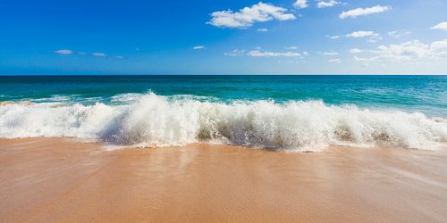 Sandy beach at the Algarve in Portugal by Werner Dieterich