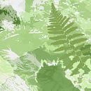 Abstract Botanisch in pastel groen en wit. Varenbladeren. van Dina Dankers thumbnail