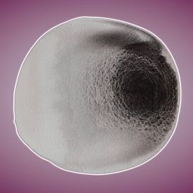 Black Velvet Aqua Mineral 955 - Abstrakte Aquarellfarbe mit Tiefe und Weichheit von Saskia Mensink PRINTS