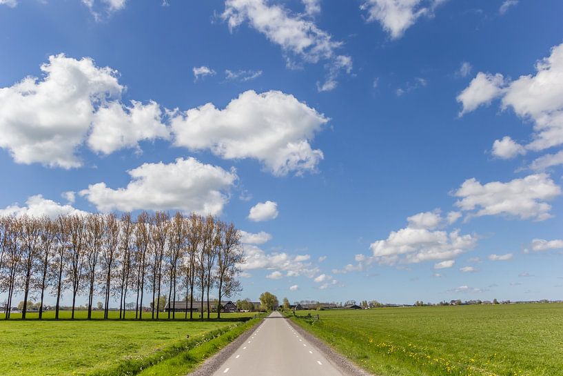 Rechte weg door het vlakke landschap van Groningen van Marc Venema