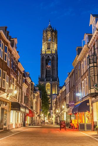 Utrechtse Dom op een zomerse avond