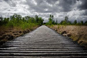 houten loopbrug van Jo Beerens