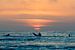 Surfers bewonderen de zonsondergang in het water bij Terschelling van Alex Hamstra