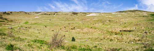 dunes côtières Réserve de dunes de la Hollande du Nord