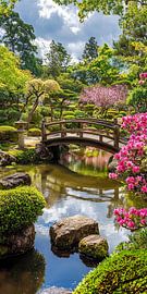 Zen garden background banner. Asian seasonal image by Ariadna de Raadt-Goldberg