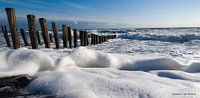 Schuim tegen strandpalen panorama