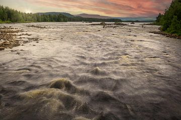 Flussangeln in Schweden von Arjen Roos