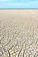 Low tide on the mudflats