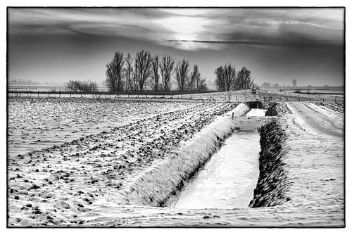 winter in de Hoeksche Waard
