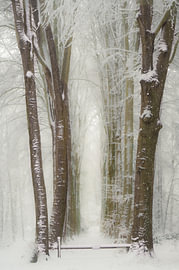 Portique hivernal