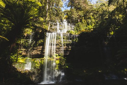 Horseshoe Falls: Een Schilderachtige Cascade in Mount Field