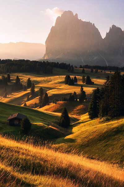 Golden summer morning on the Alpe di Siusi in the Dolomites by Daniel Gastager