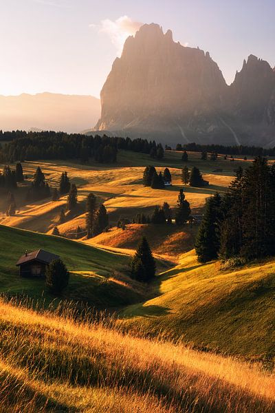 Goldener Sommermorgen auf der Seiseralm in den Dolomiten von Daniel Gastager