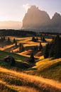 Goldener Sommermorgen auf der Seiseralm in den Dolomiten von Daniel Gastager Miniaturansicht