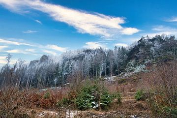 Zschirnstein met besneeuwde bomen en mist op de top van Martin Köbsch