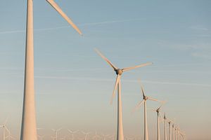 Niederländische Windkraftanlagen bei Sonnenaufgang