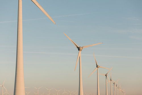 Niederländische Windkraftanlagen bei Sonnenaufgang