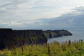 Cliffs of Moher, Ireland