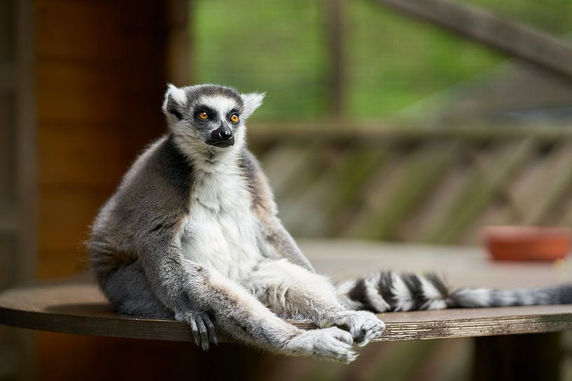 Relax par Heiko Kueverling