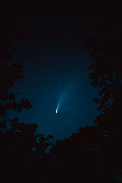 Neowise am Nachthimmel durch die Baumkronen gesehen von Florian Kunde