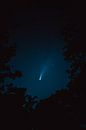 Neowise am Nachthimmel durch die Baumkronen gesehen von Florian Kunde Miniaturansicht