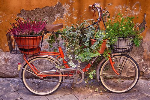 Bloemenfiets