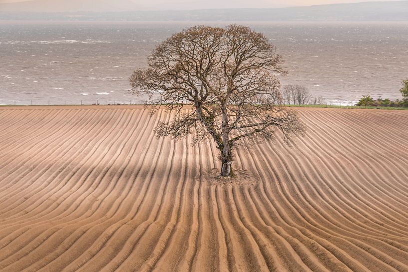 Waves of the earth by Guy Lambrechts Photography