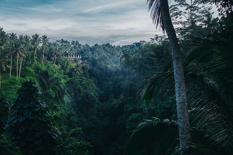 Bali by Hello Pompoyo