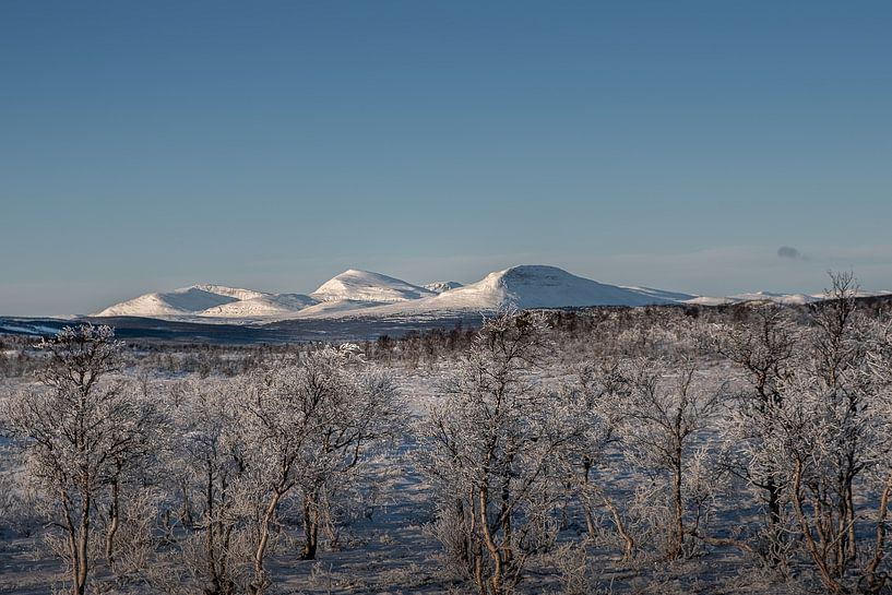 Winterlandschaft von Marco Lodder