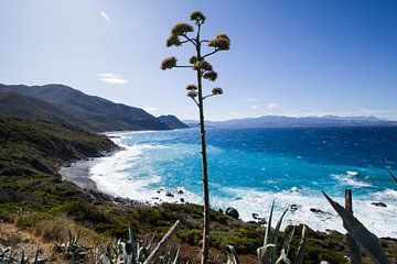 Middellandse Zee, Corsica, Frankrijk van Rosanne Langenberg