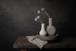 Serene Beauties - Donker stilleven met pluizenbollen van paardenbloemen