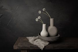 Serene Beauties by Mayra Fotografie