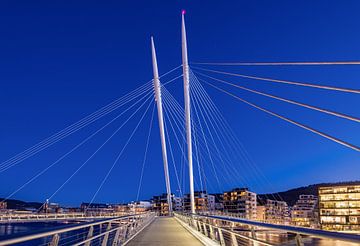 De Ypsilonbrug in Drammen, Noorwegen van Adelheid Smitt