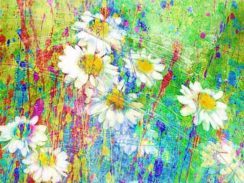 Grassen en bloemen