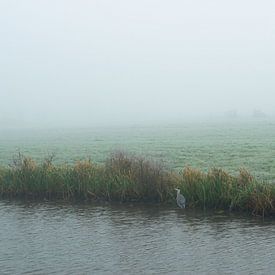 Reiger in de mist van Art Pictures by  Lotte