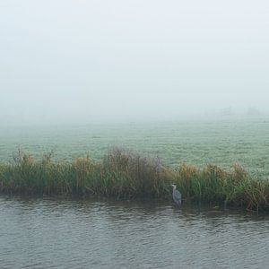 Gelassene Landschaft im Nebel von Art Pictures by  Lotte