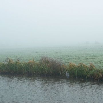 Reiger in de mist van Art Pictures by  Lotte
